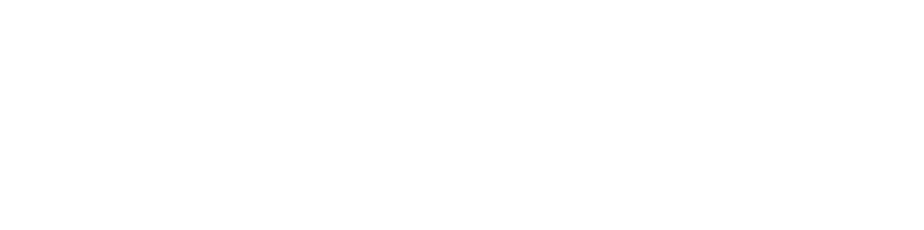 ds_logo_header